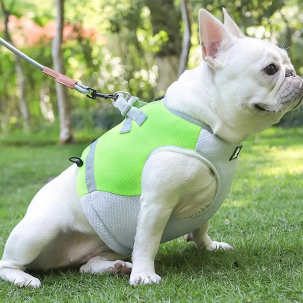 Cooling Reflective Dog Harness